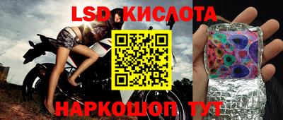 PSILOCYBIN Новодвинск